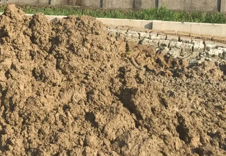 市政污泥資源化利用