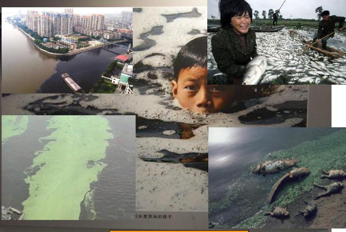 造紙廠廢水的危害,工業(yè)廢水處理刻不容緩